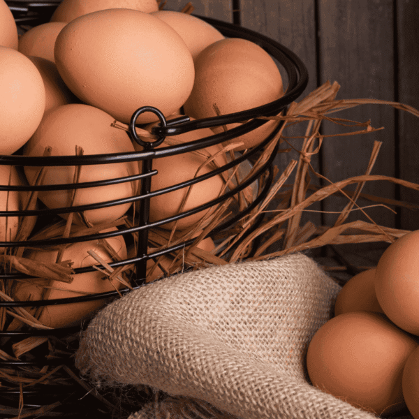 Eggs Free Range Large