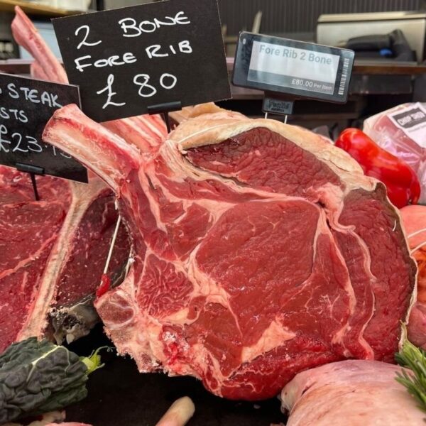 Fore Rib